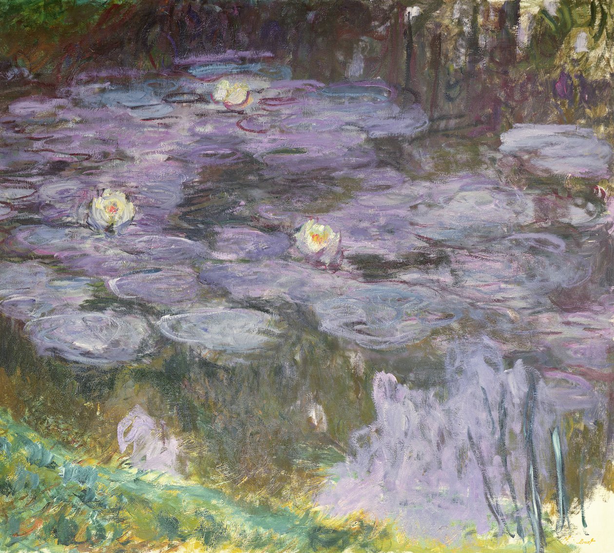 Nymphéas - Claude Monet