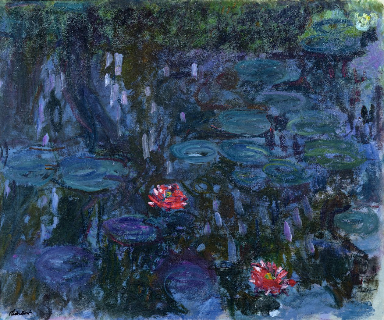 Nénuphars avec reflets d