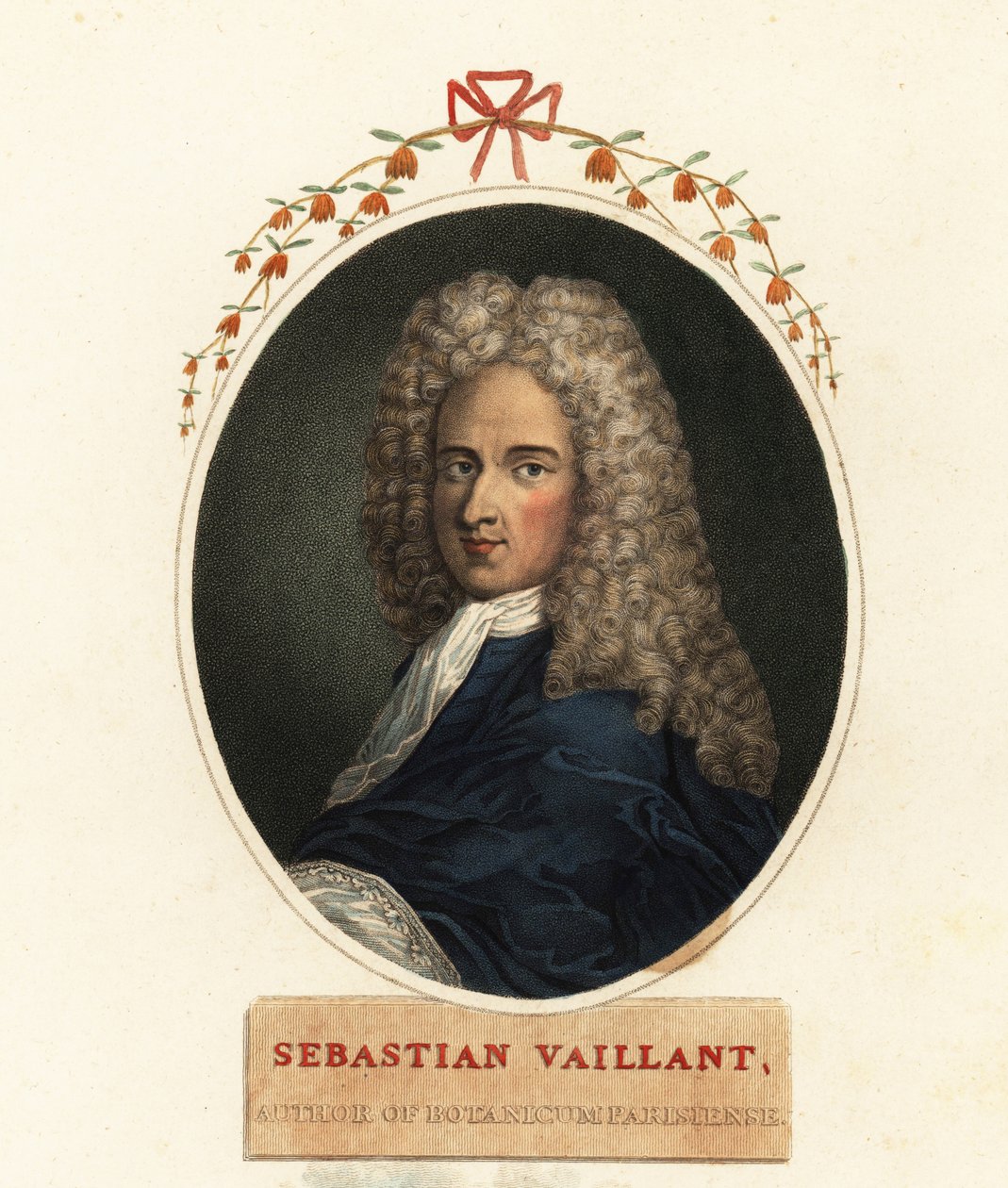 Portrait de Sébastien Vaillant, botaniste français - Claude Aubriet
