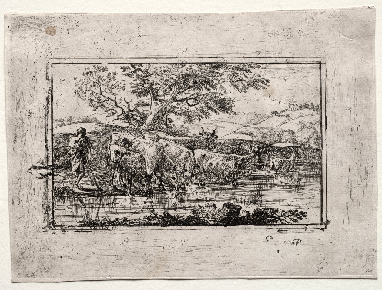 Le troupeau à l