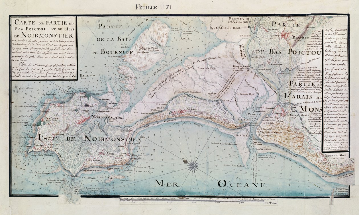 Carte d