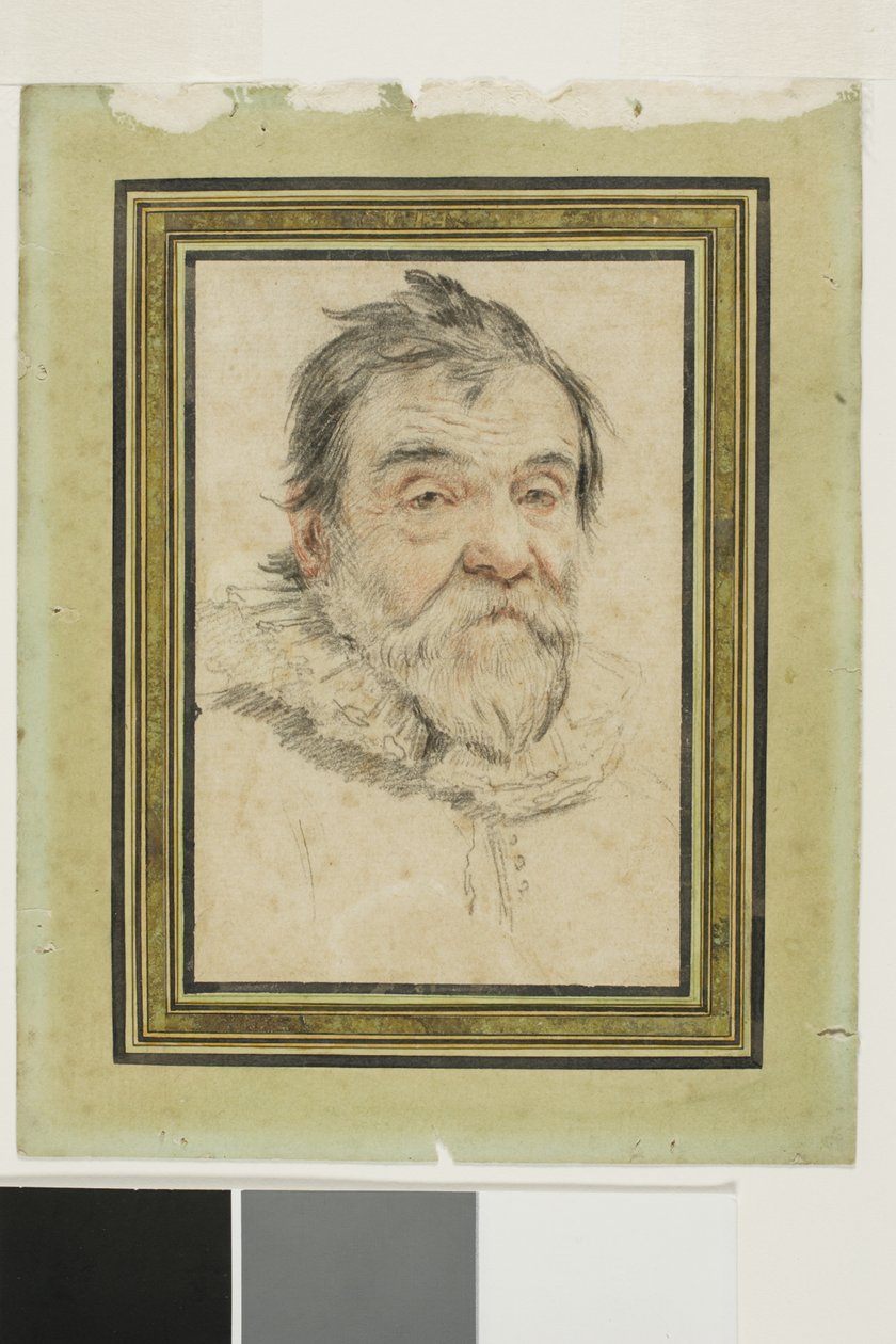 Portrait d