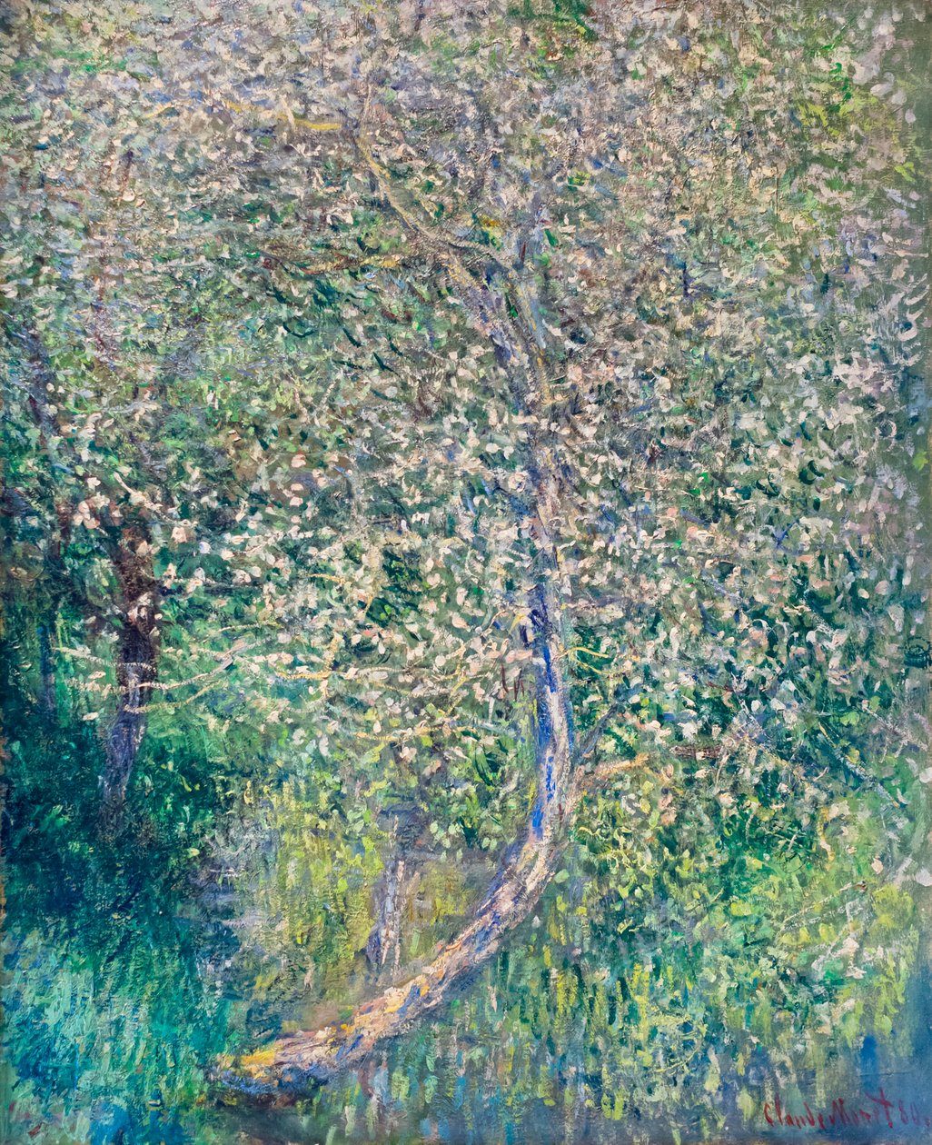 Pommiers en fleurs au bord de l'eau | Claude Monet