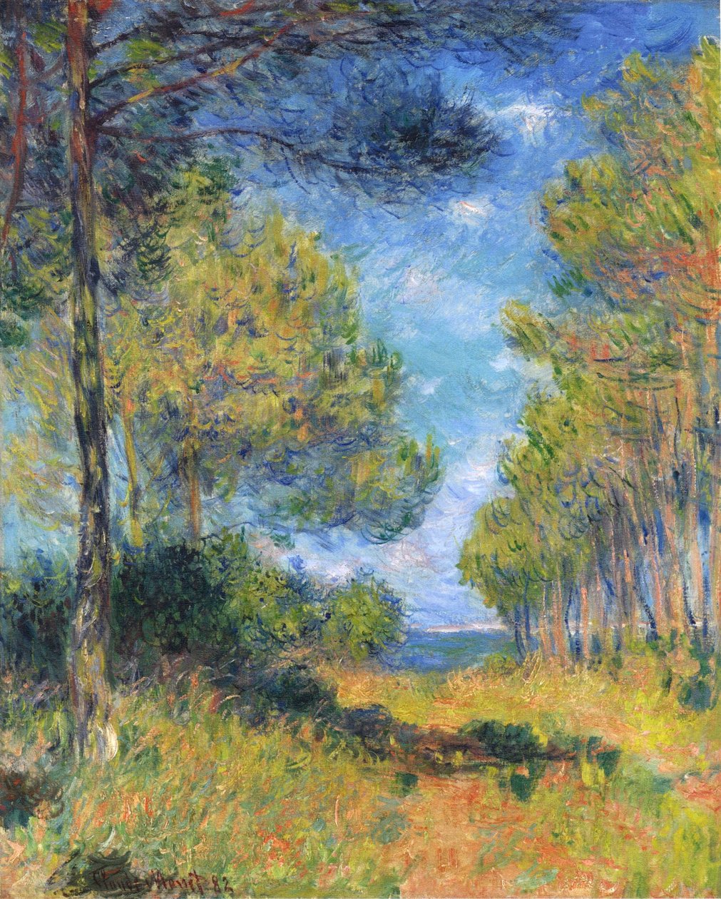 Français : Allée de sapins à Varengeville
Allemand : Tannenallee in Varengeville - Claude Monet