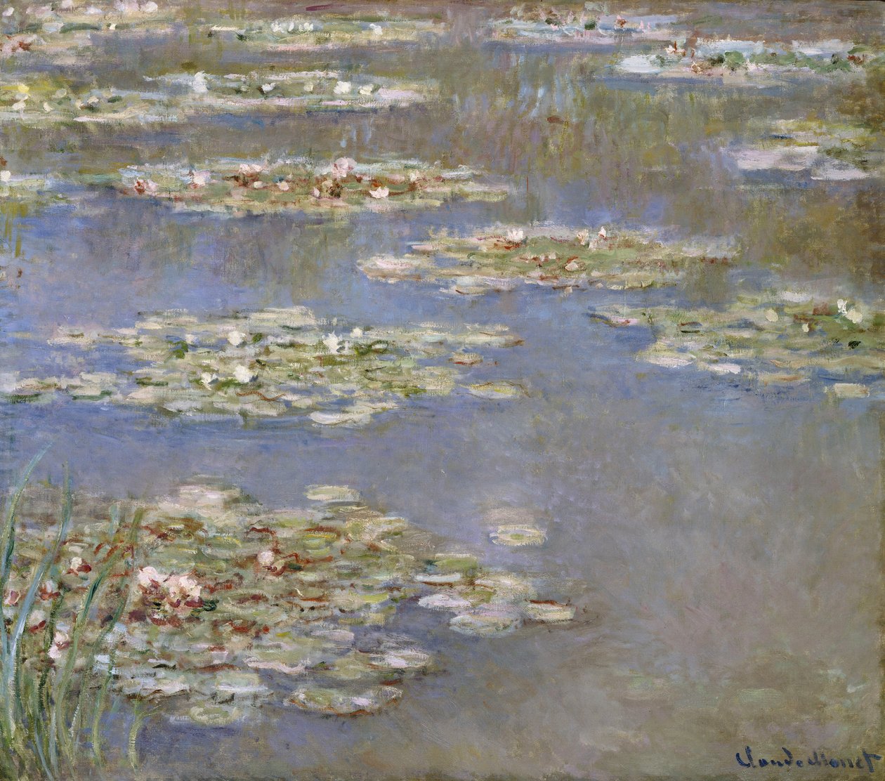 Nymphéas, vers 1905 - Claude Monet