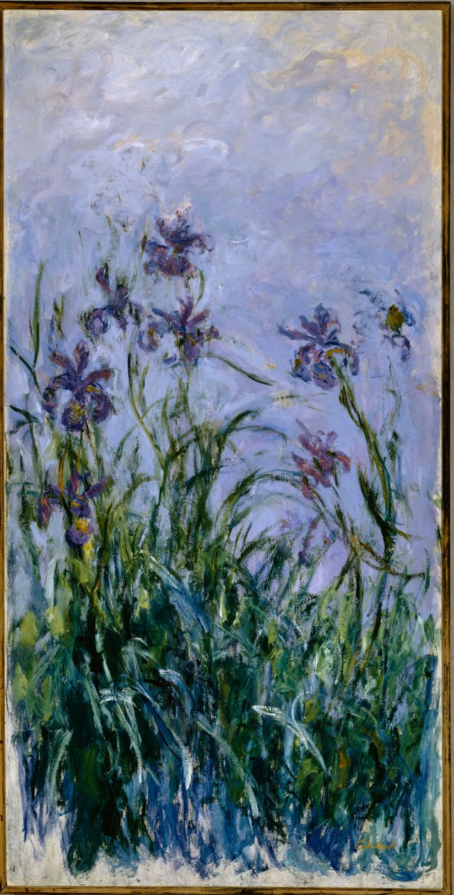 Iris violets, 1914-17 - Claude Monet
