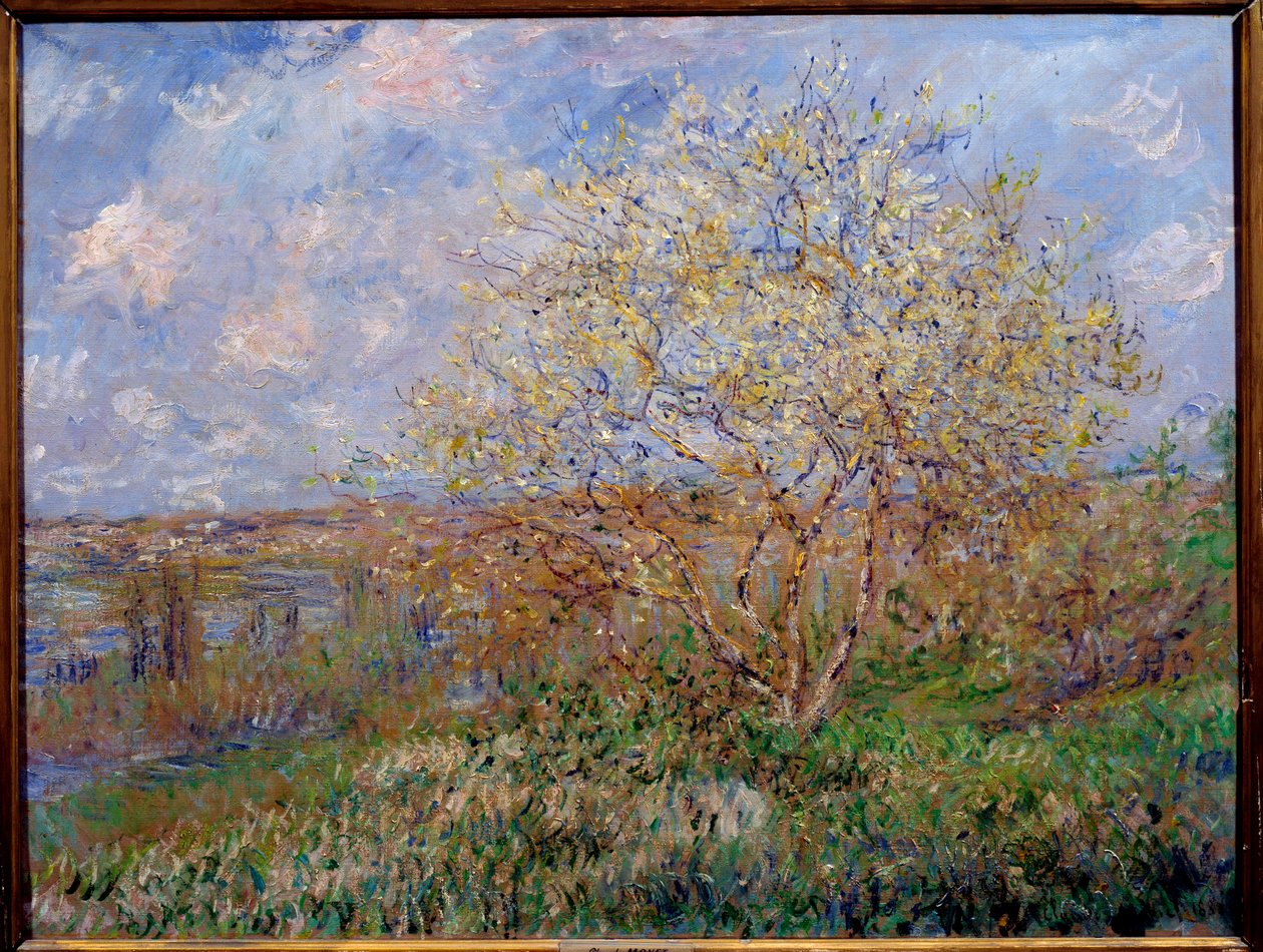 Printemps. Peinture de Claude Monet (1840-1926) 1882. Dim : 0,60 x 0,79 m. Lyon, Musée des Beaux-Arts - Claude Monet