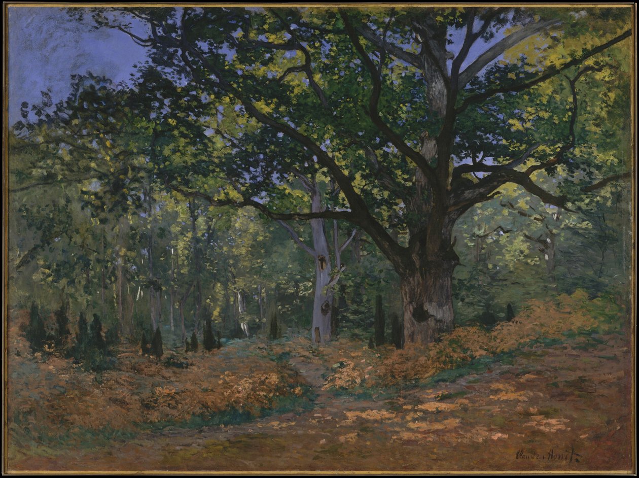 Le Chêne Bodmer, Forêt de Fontainebleau - Claude Monet