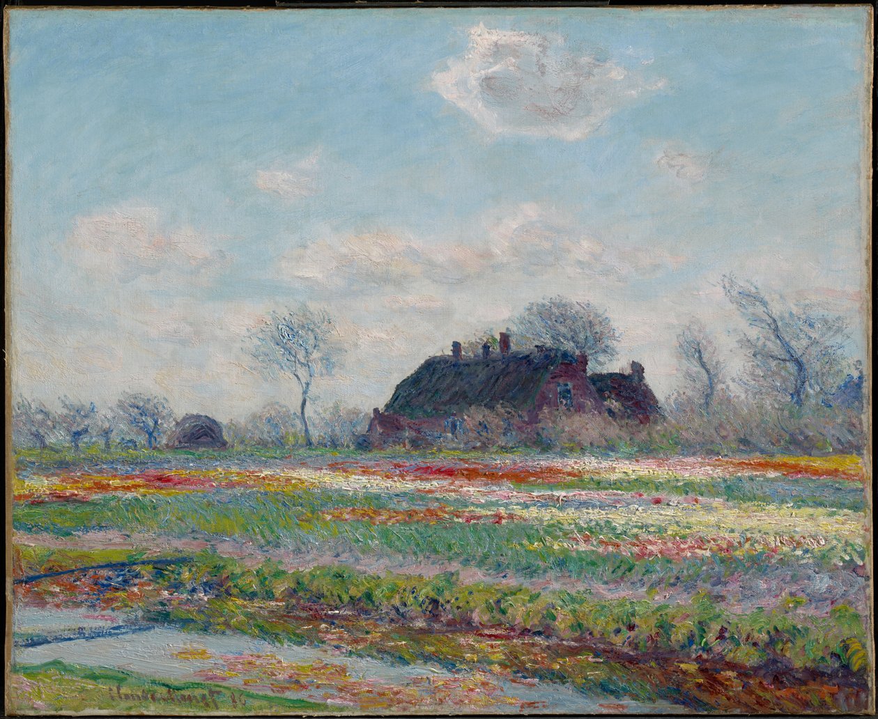 Champs de tulipes à Sassenheim - Claude Monet