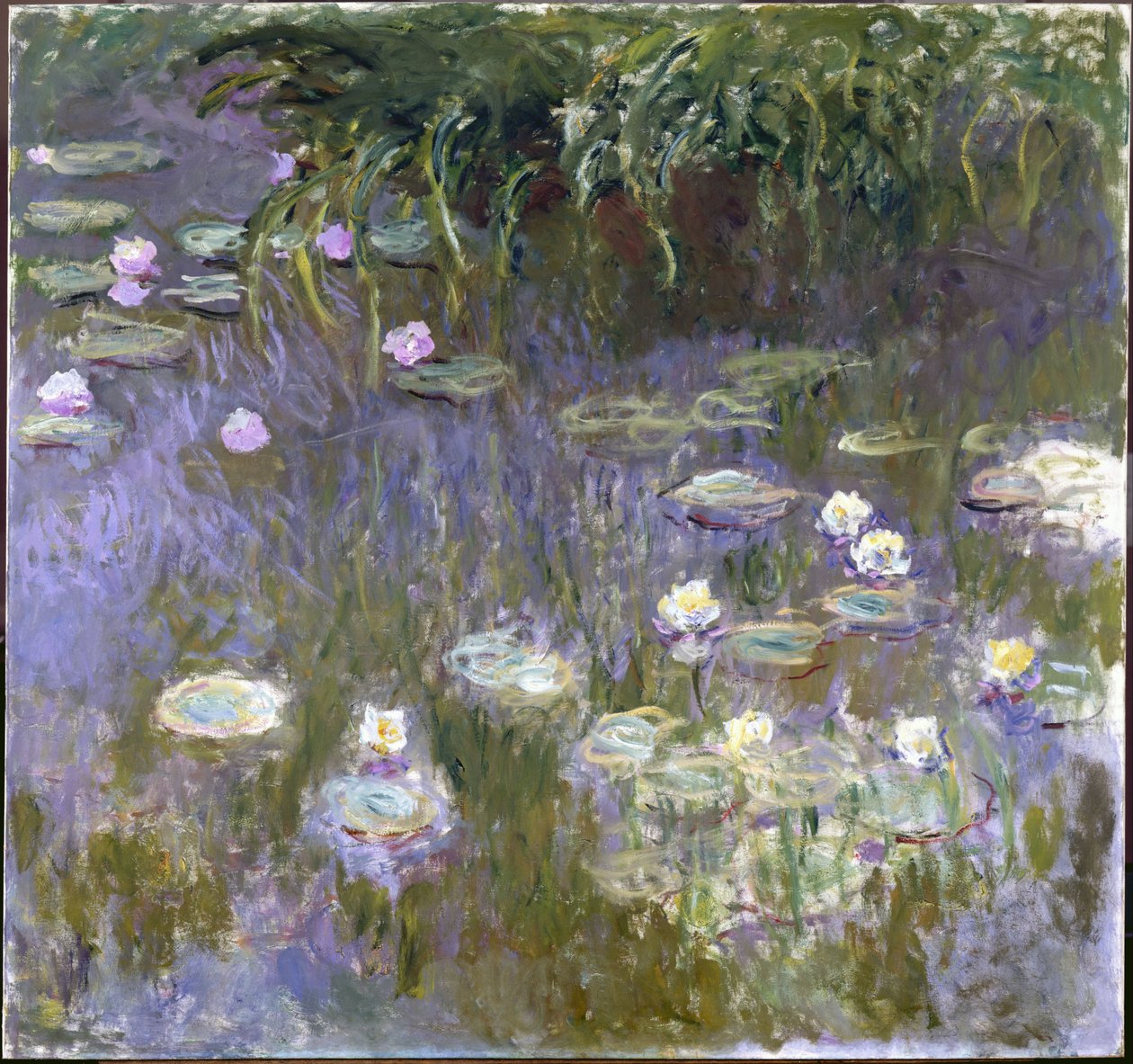 Nymphéas - Claude Monet