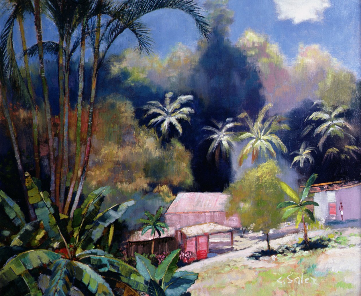 Forêt tropicale, Martinique - Claude Salez