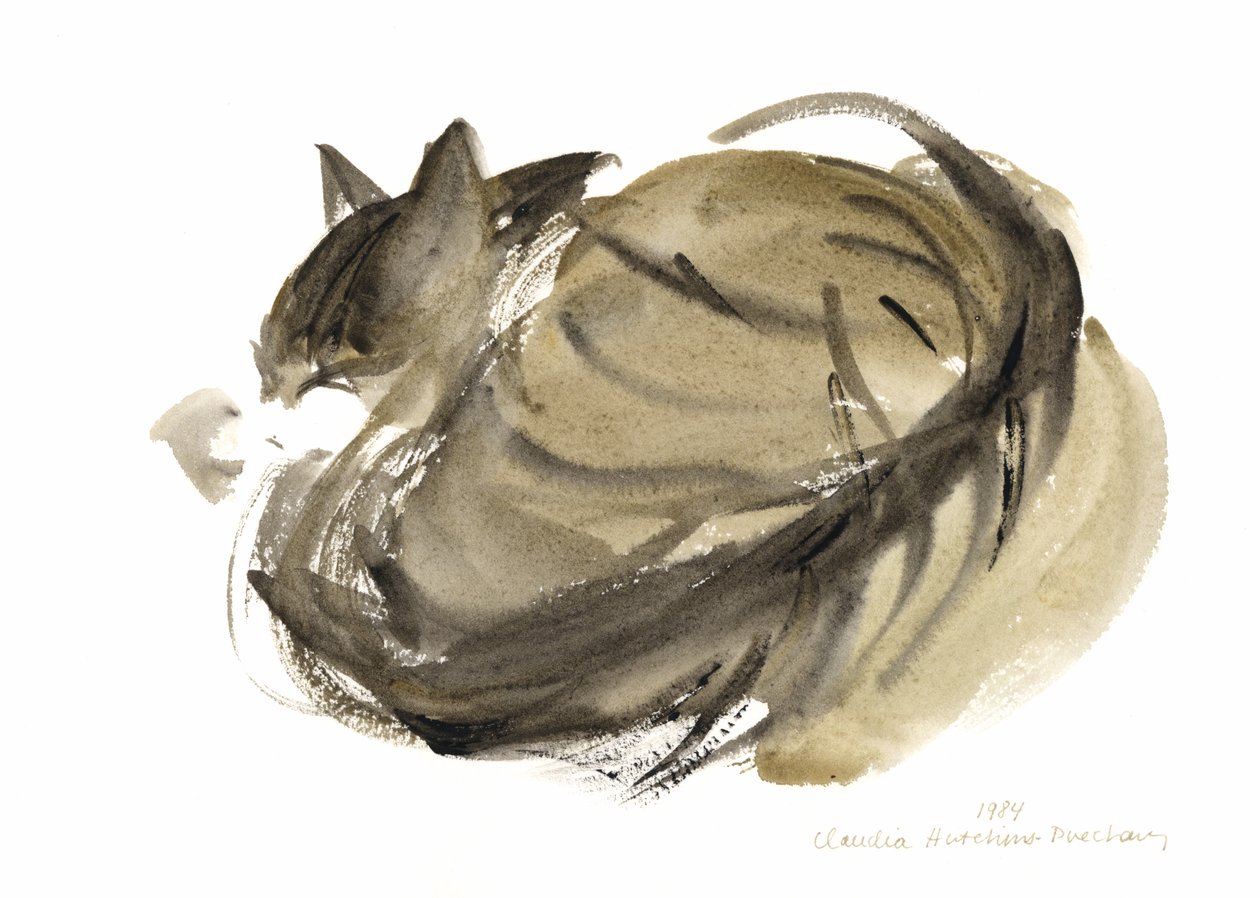Chat endormi - Claudia Hutchins-Puechavy