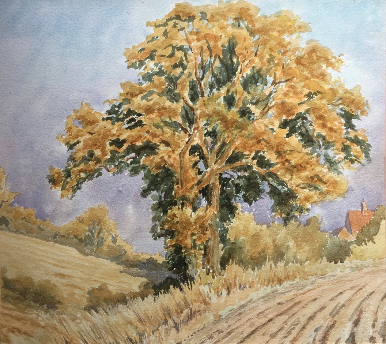 Coucher de soleil sur les récoltes, North Denford - Clive Wilson