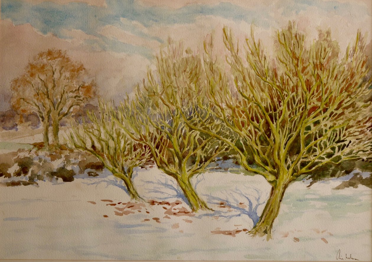 Le verger, soleil de janvier, 2000 (aquarelle) - Clive Wilson