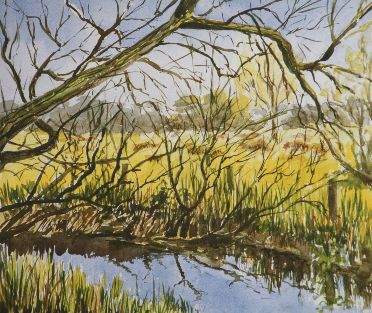 Water Meadows, Kintbury, début de l