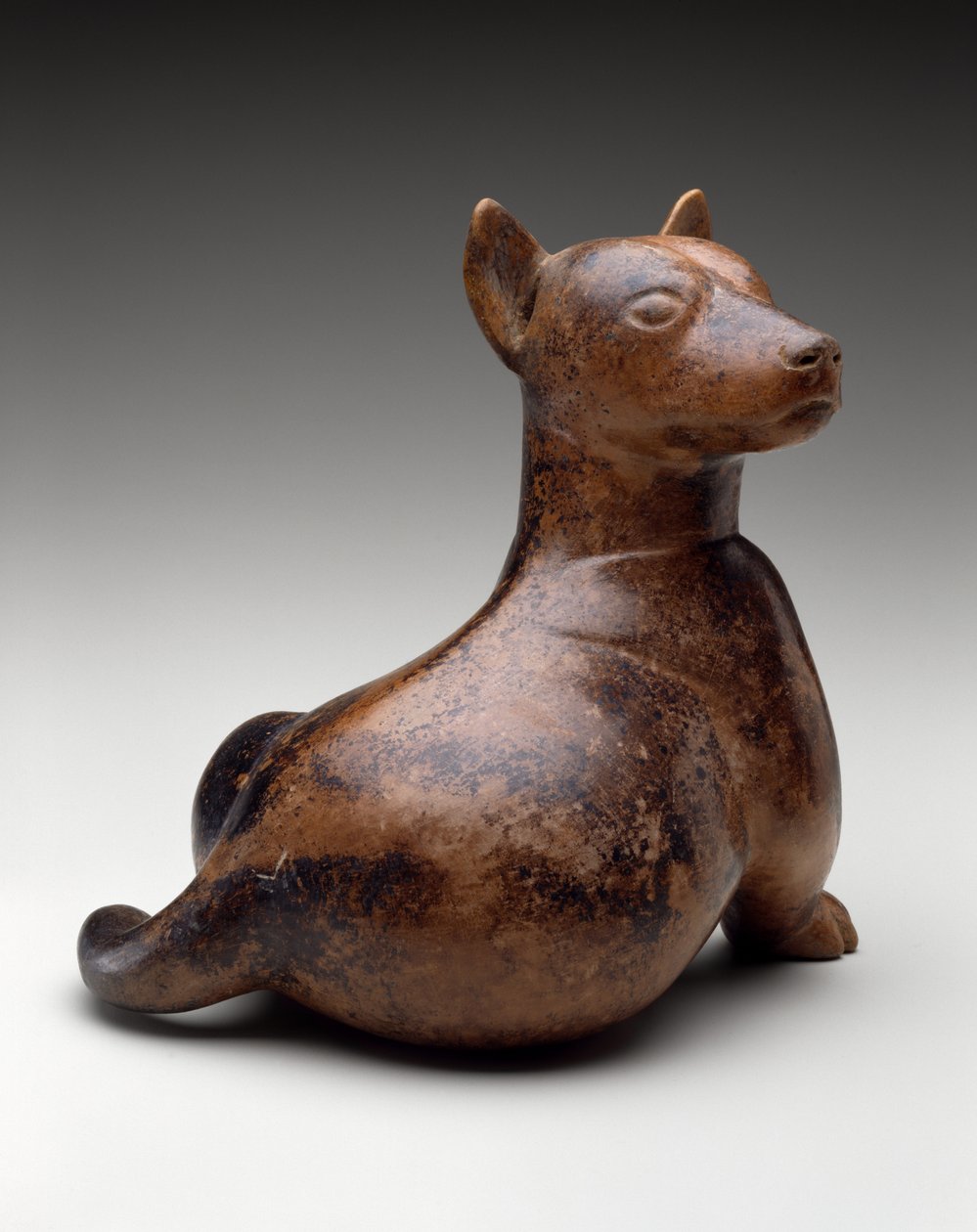 Chien à demi-assis - Colima Culture