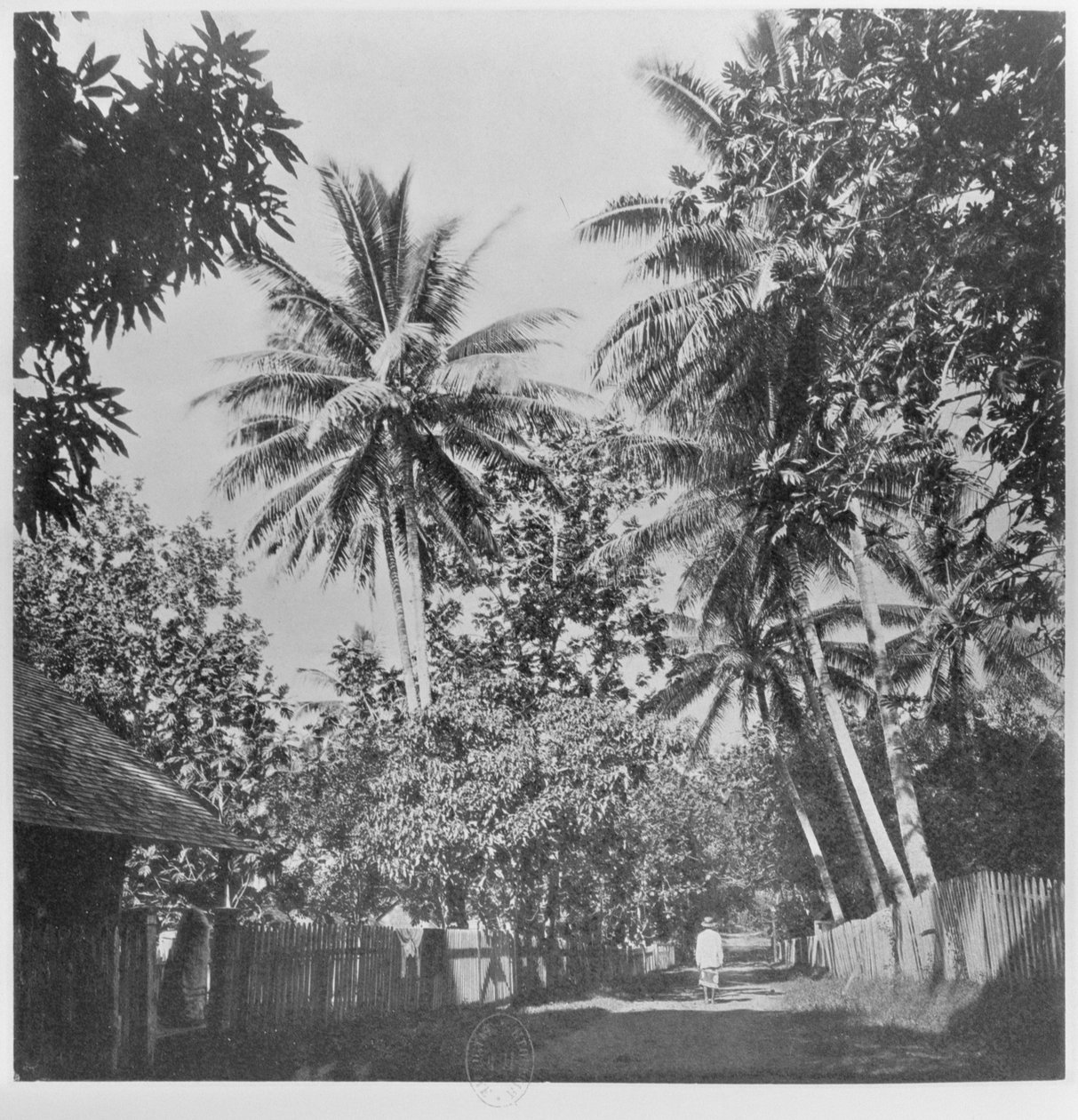 Une rue à Papeete, de 