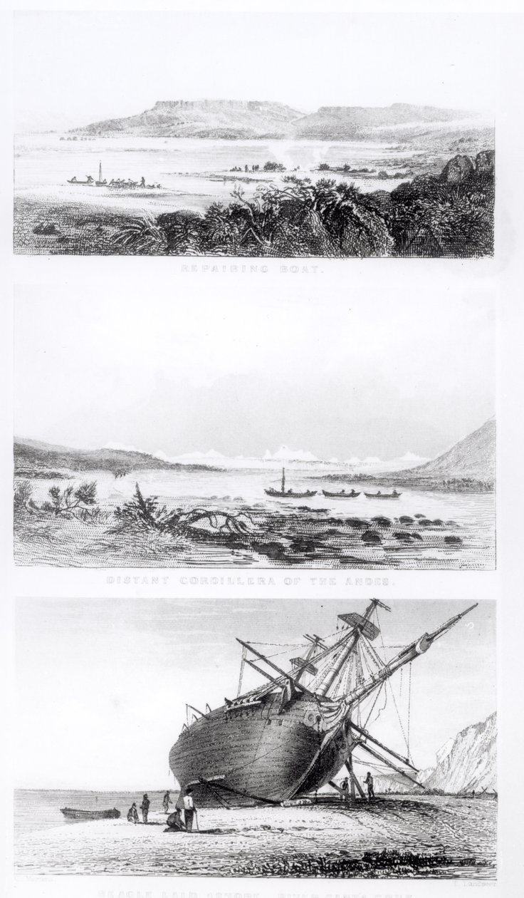 Scènes du 