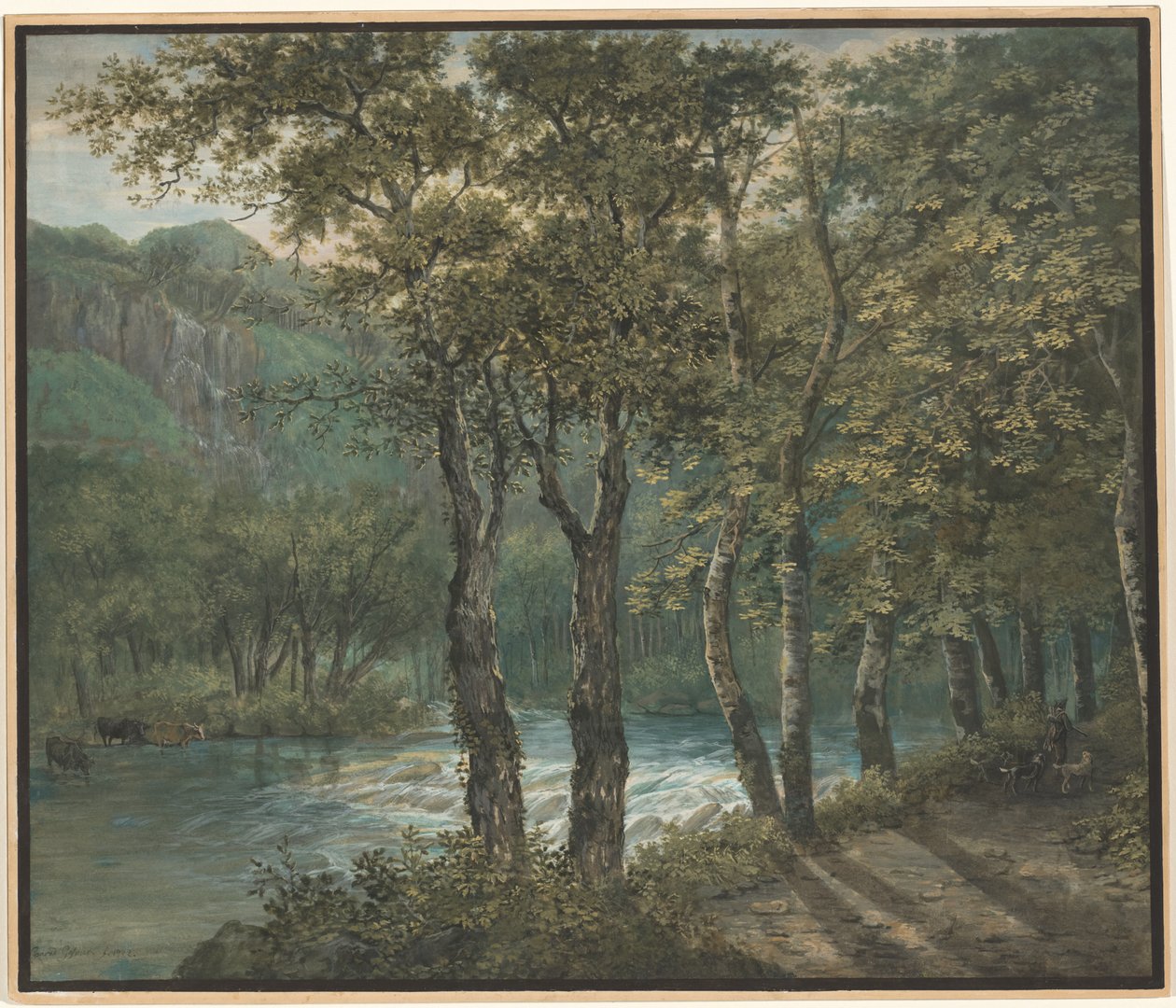 Lumière du soleil filtrant à travers les arbres le long de la rivière Sihl - Conrad Gessner
