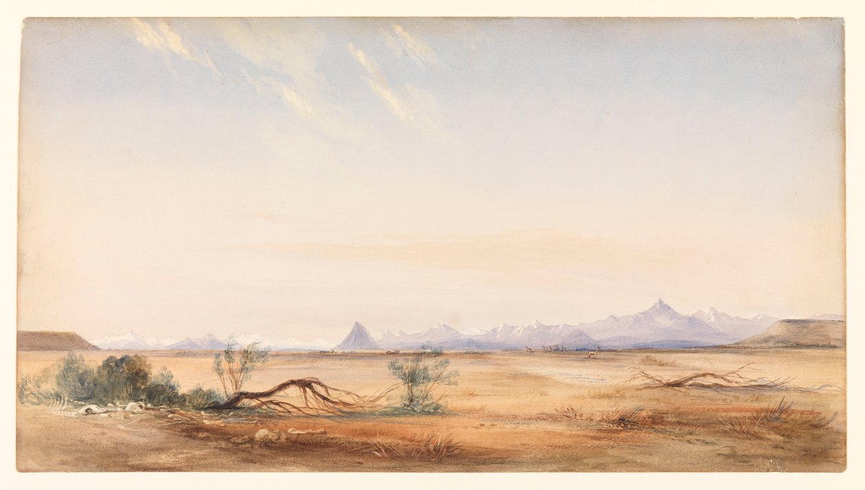 Cordillère des Andes, vue depuis la plaine du Mystère, près de Santa Cruz, c.1878 - Conrad Martens