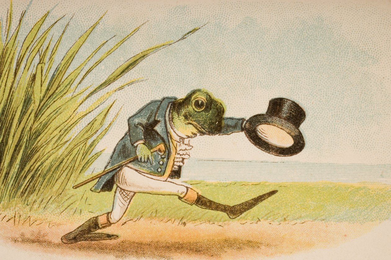 Une grenouille voulait se marier, de 
