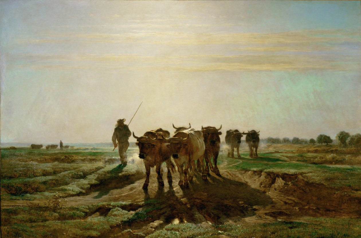 Boeufs se rendant au travail - bovins se rendant au travail, matin. 1855 ... - Constant Emile Troyon