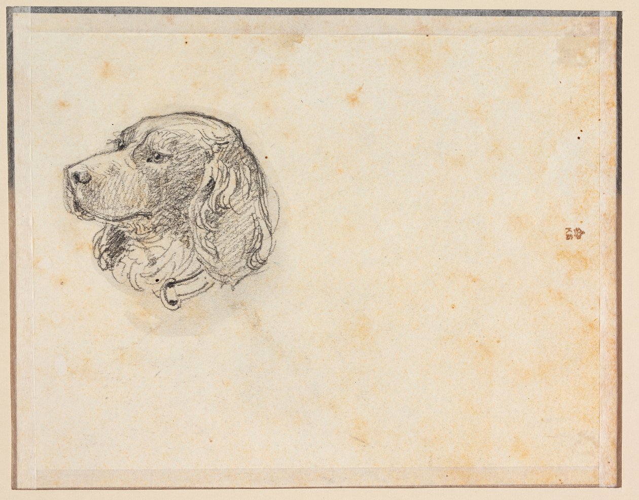 Tête de chien - Constantin Hansen