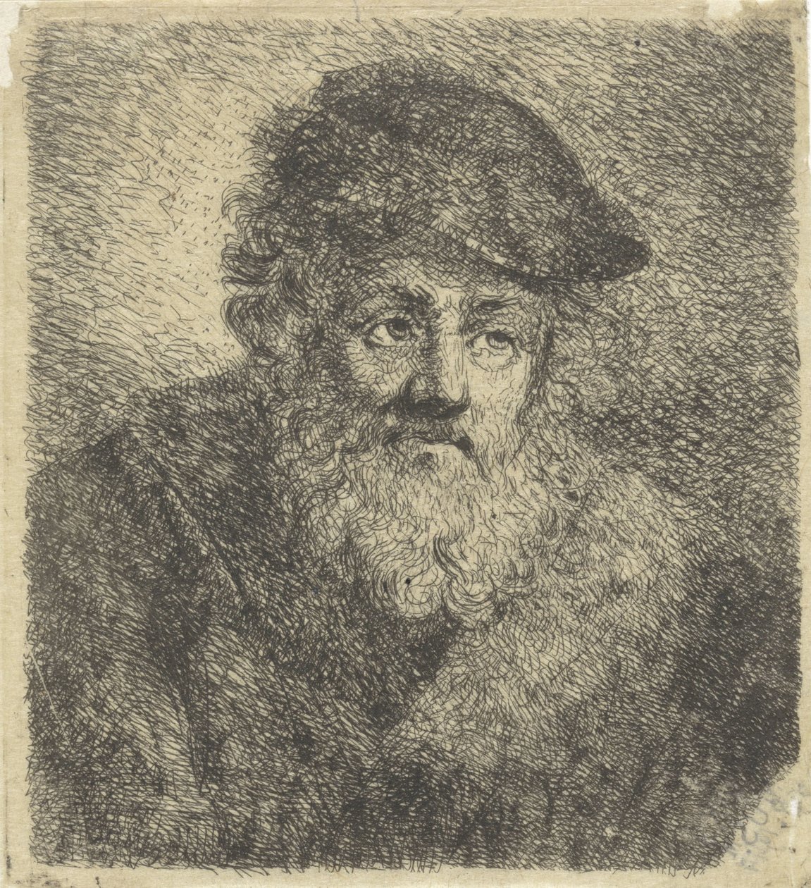 Vieil homme avec barbe et bonnet - Cornelia Scheffer Lamme