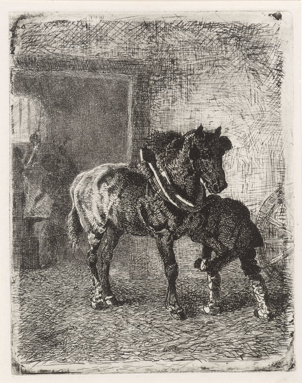 Cheval ferré dans une forge - Cornelis Albertus Johannes Schermer