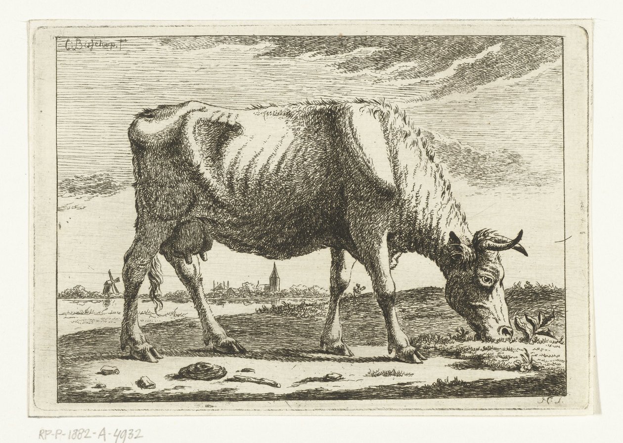 Paysage avec vache paissant (Vaches) - Cornelis  Bisschop