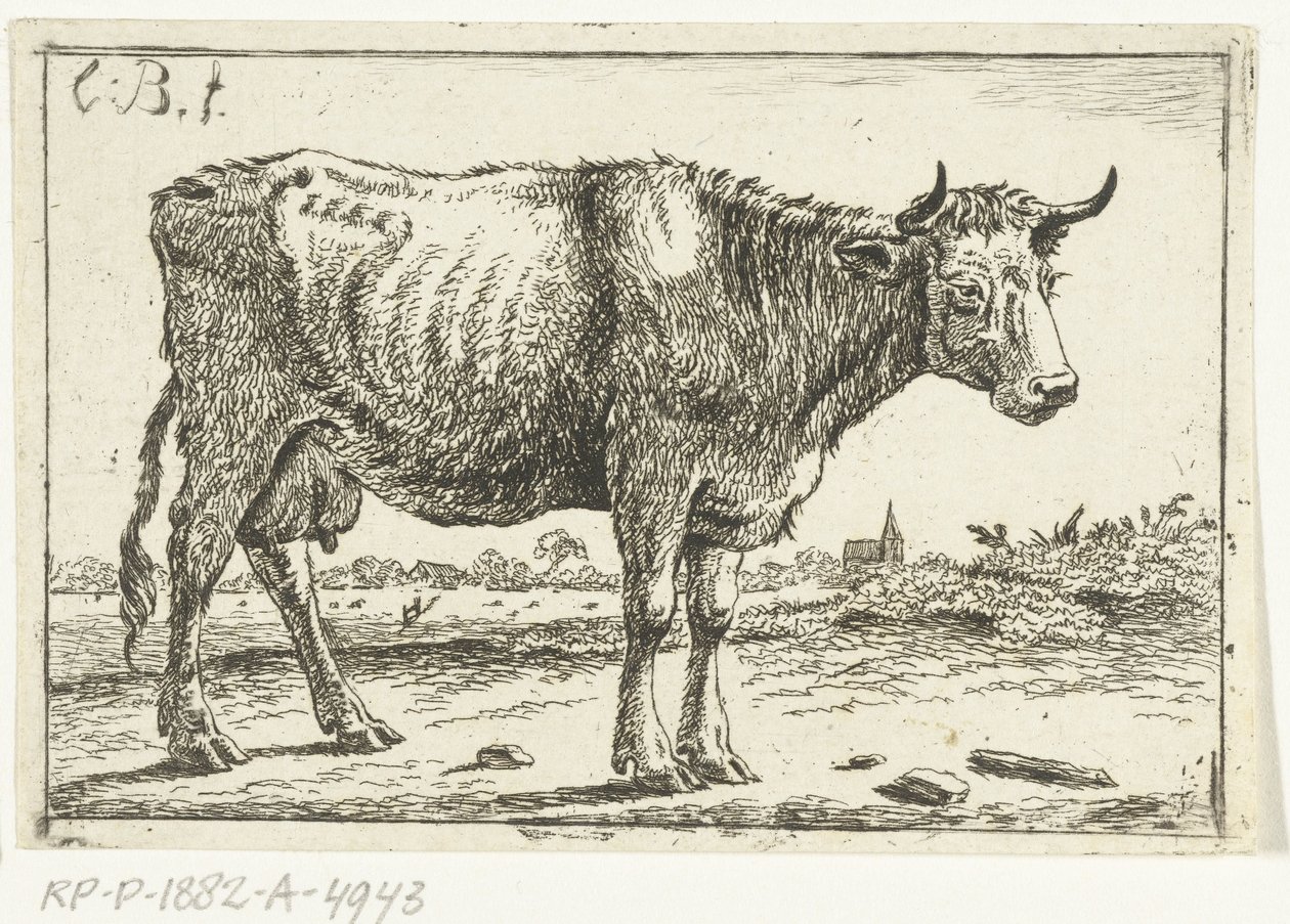 Paysage avec vache - Cornelis  Bisschop
