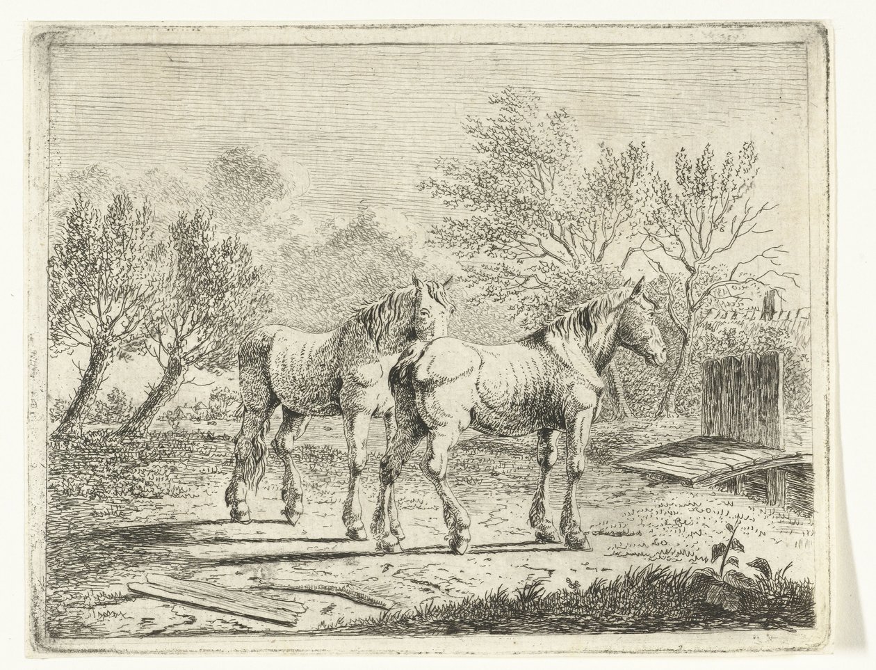 Paysage de prairie avec deux chevaux près d