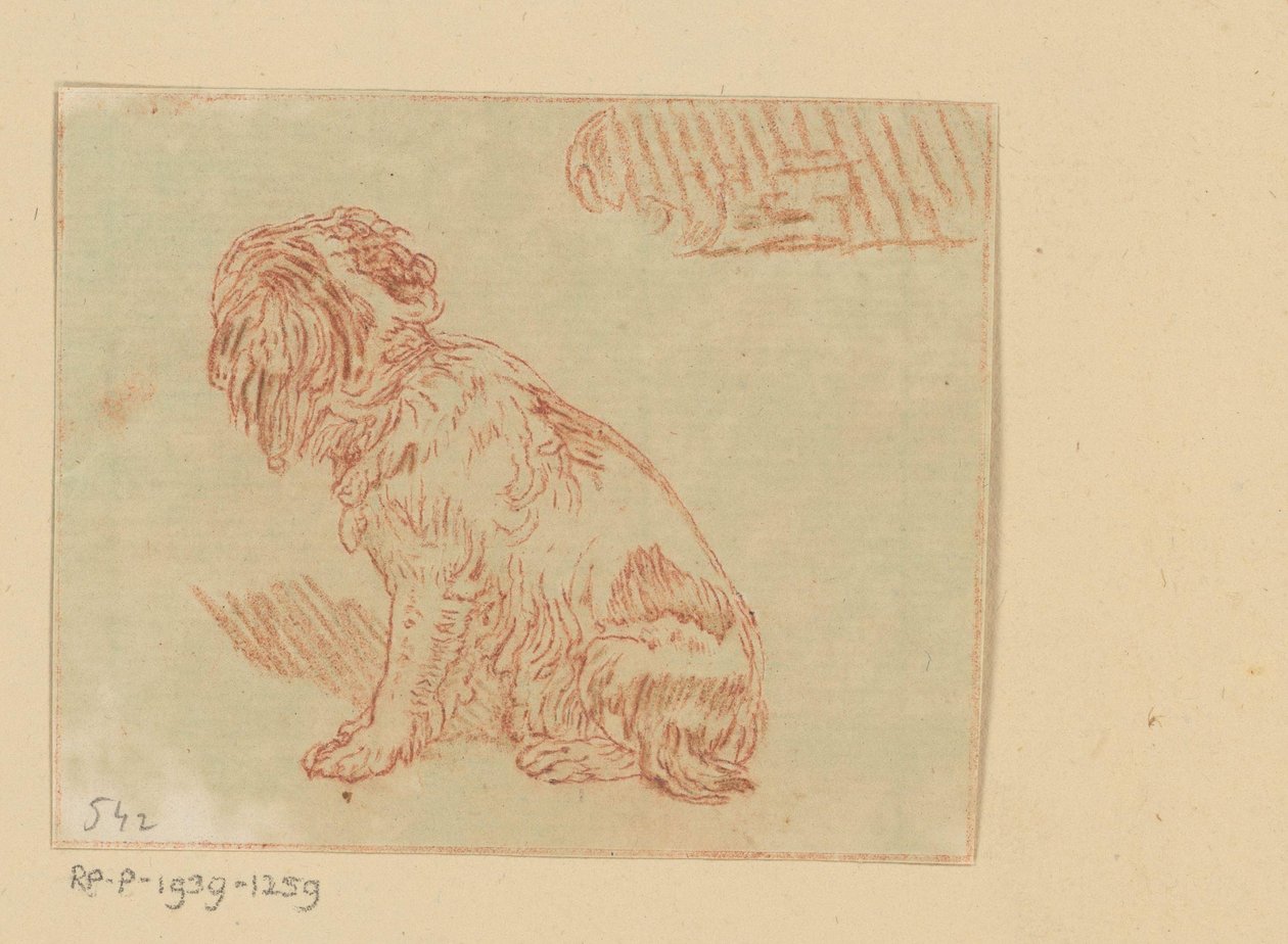 Chien assis - Cornelis Brouwer (possibly)