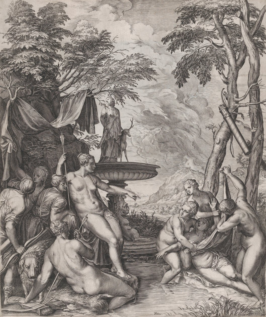 Diane découvrant la grossesse de Callisto, 1566 - Cornelis Cort