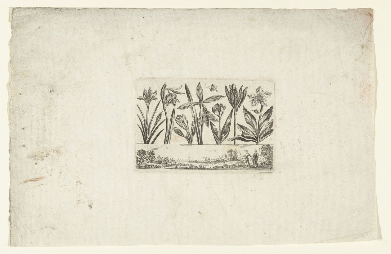 Rangée de fleurs au-dessus d