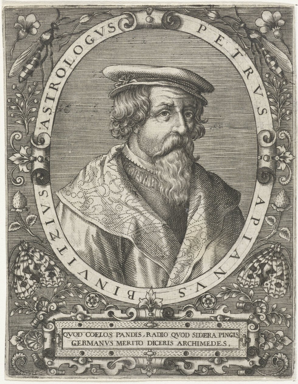Portrait de Petrus Apianus - Cornelis Galle (I)