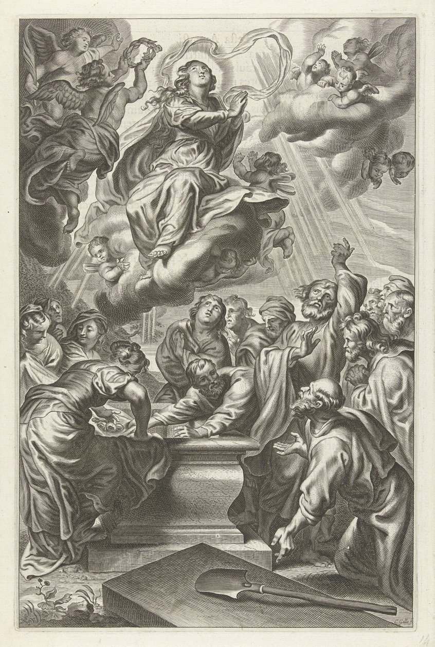 Ascension de Marie - Cornelis Galle (II)