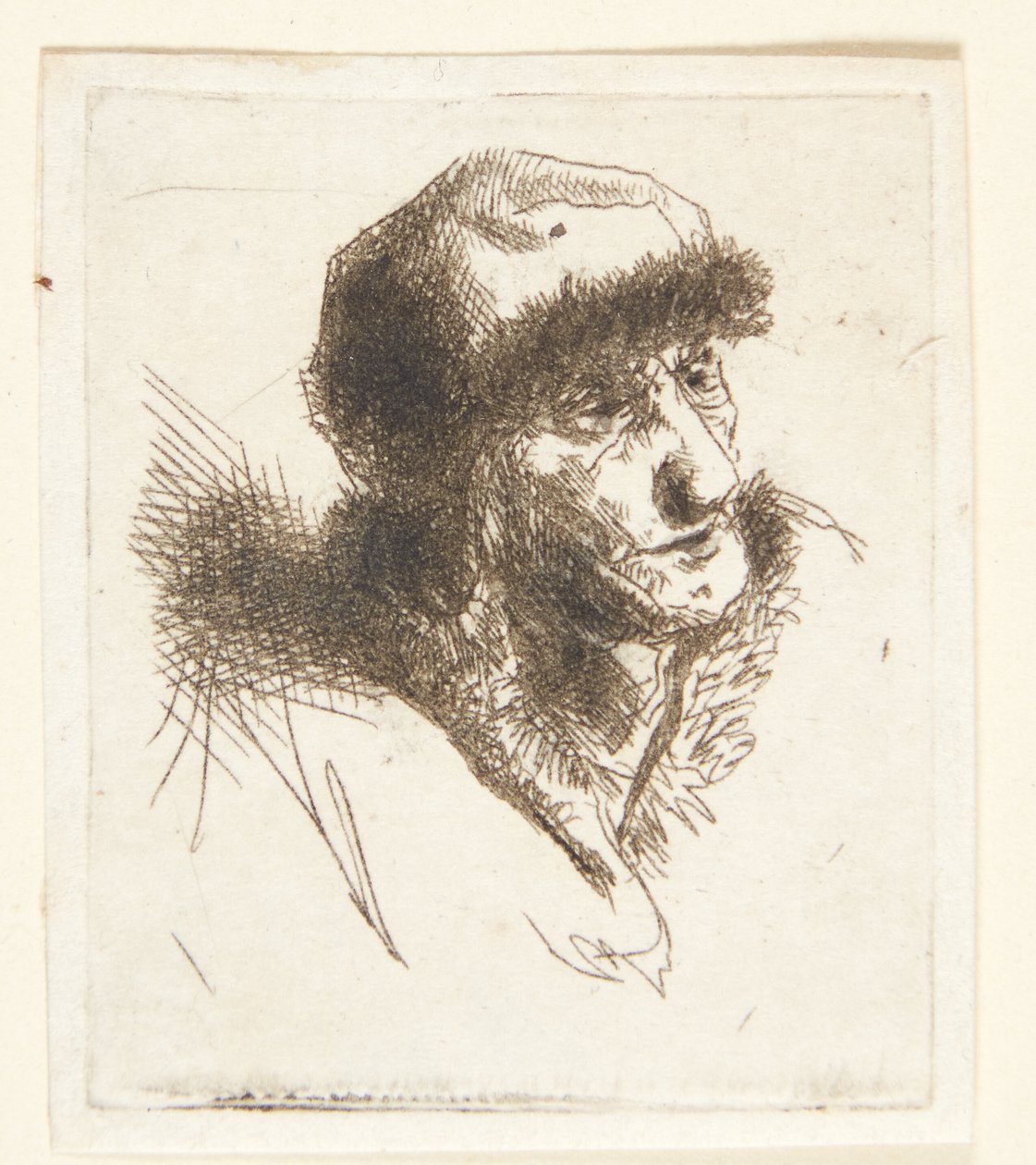 Vieille femme avec bonnet de fourrure - Cornelis Pietersz Bega