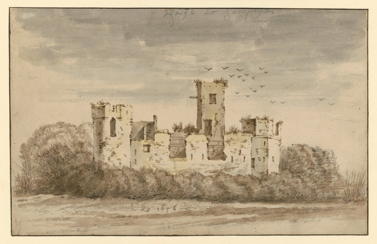 Ruines de château, envahies par d