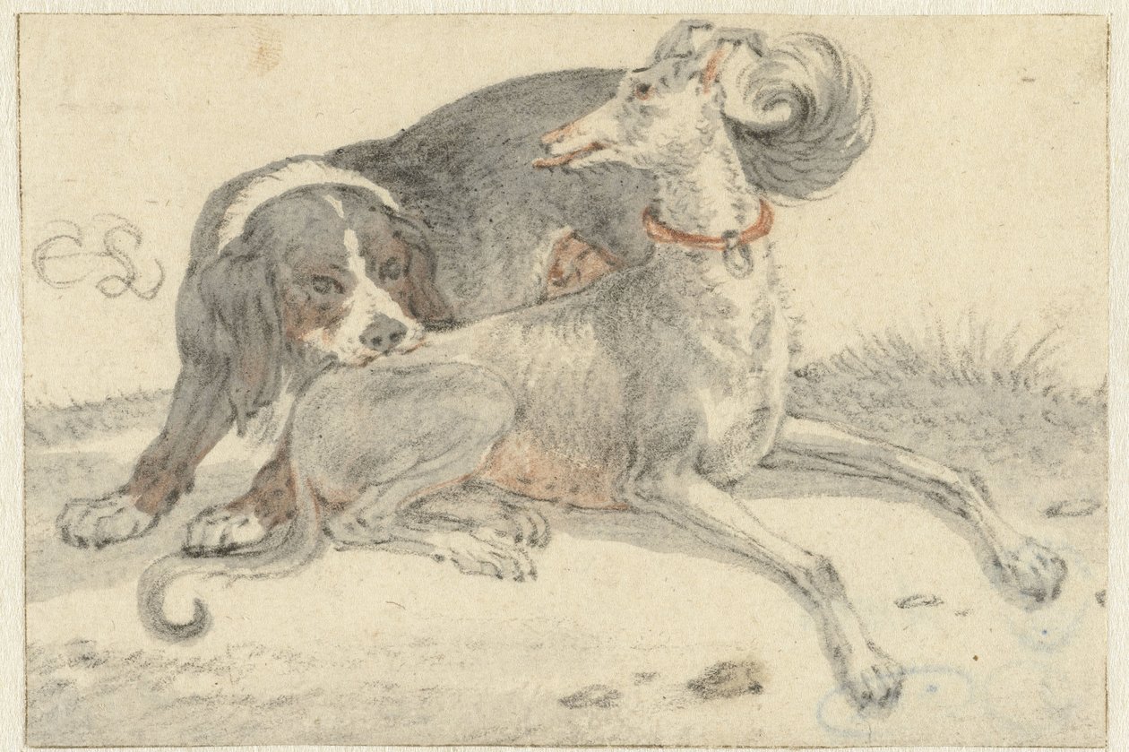 Lévrier et chien de perdrix - Cornelis Saftleven