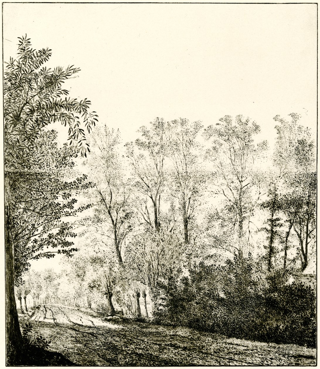 Sentier à travers une forêt - Hendrick Cornelisz. Vroom