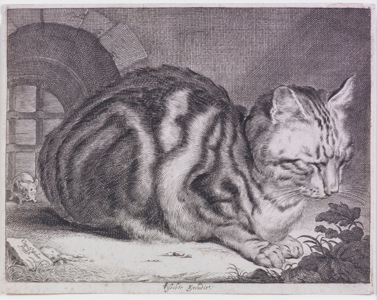 Le grand chat - Cornelis de Visscher