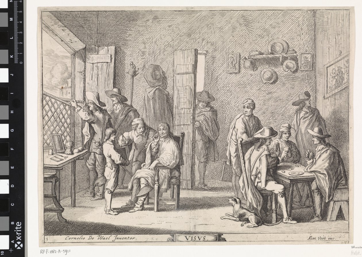Vue (Visvs) - Cornelis de Wael
