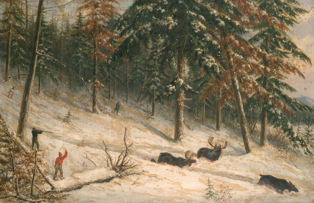 Chasse à l