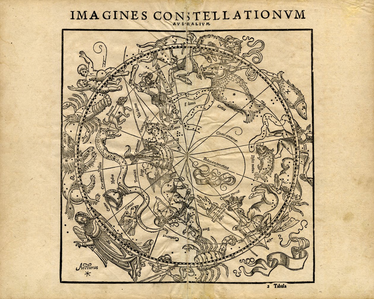 Imagine Constellationum Australium (planisphère céleste austral) - Coronensis & Petri Heinrich Honter