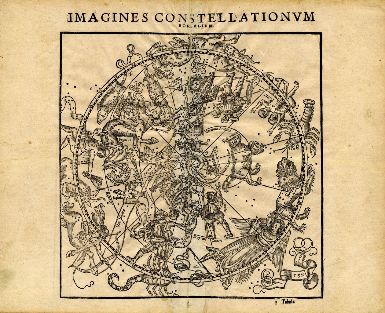 Imagine Constellationum Borealium (Planisphère céleste nord) - Coronensis & Petri Heinrich Honter