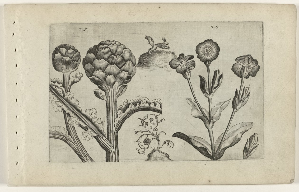 Artichaut et saponaire - Crispijn van de Passe (I) (attributed to)
