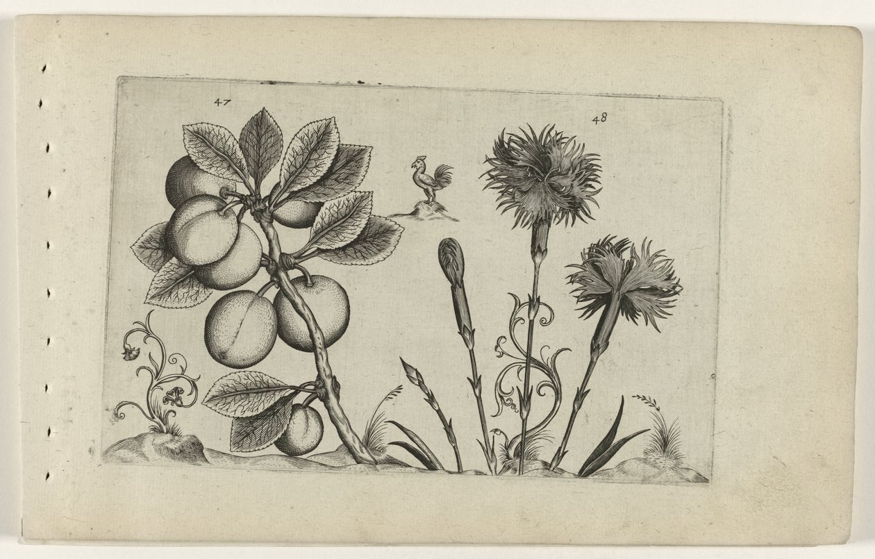 Prunier et œillet, Cognoscite lilia (titre de la série) - Crispijn van de Passe (I) (attributed to)