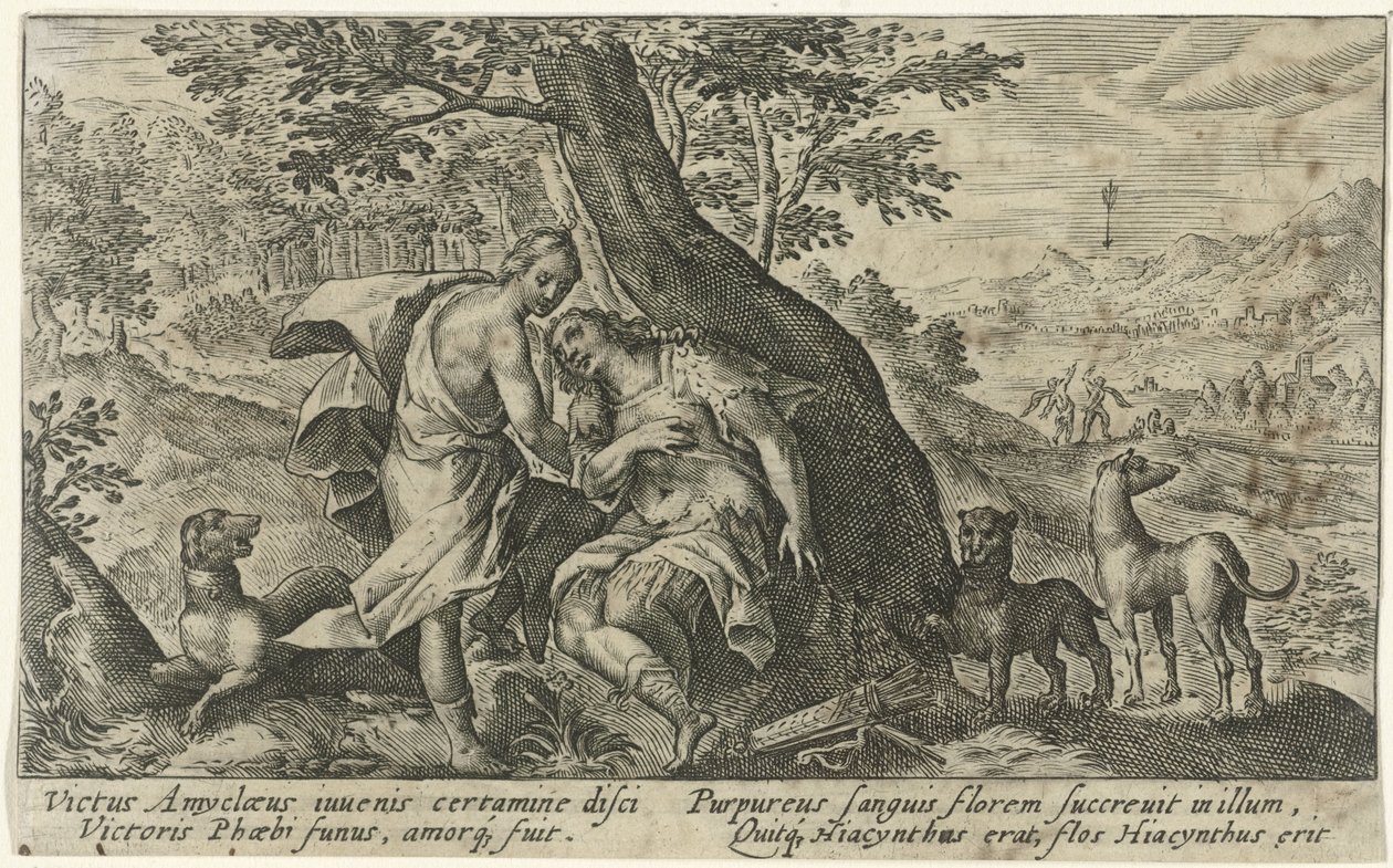 Apollon et Hyacinthe (Métamorphoses d