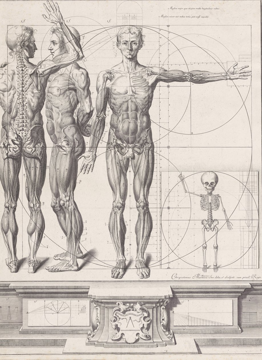 Planche pour l